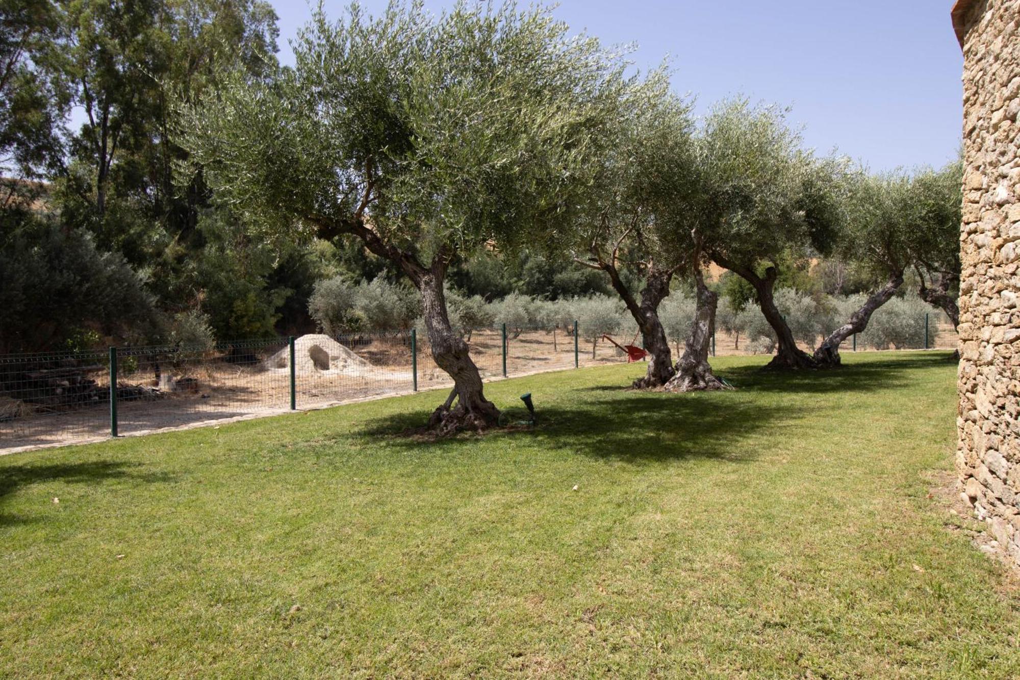 Cortijo San Antonio De Trejo Villa Setenil De Las Bodegas Ngoại thất bức ảnh
