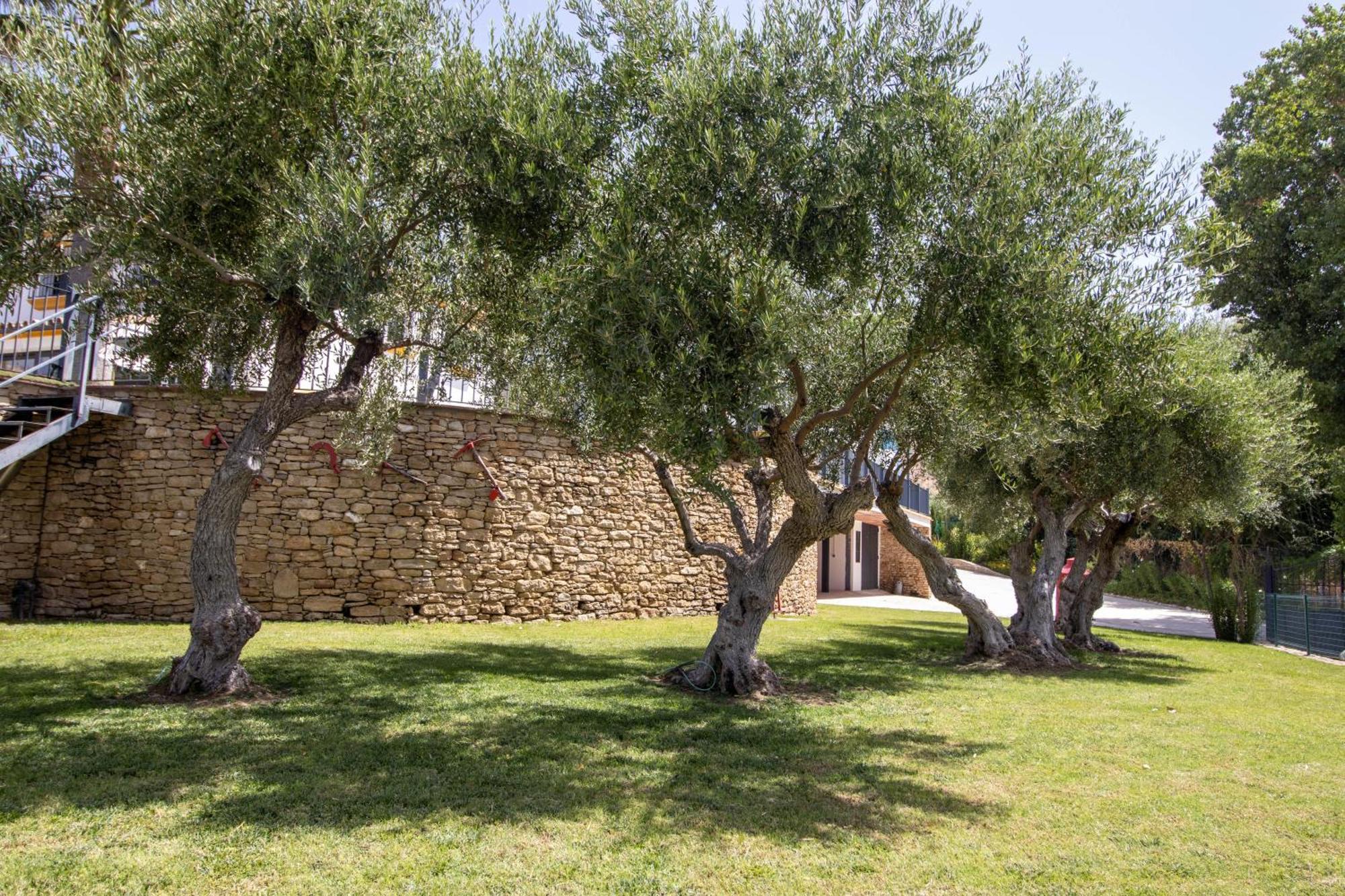 Cortijo San Antonio De Trejo Villa Setenil De Las Bodegas Ngoại thất bức ảnh